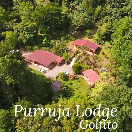 La Purruja Lodge Golfito Exteriör bild