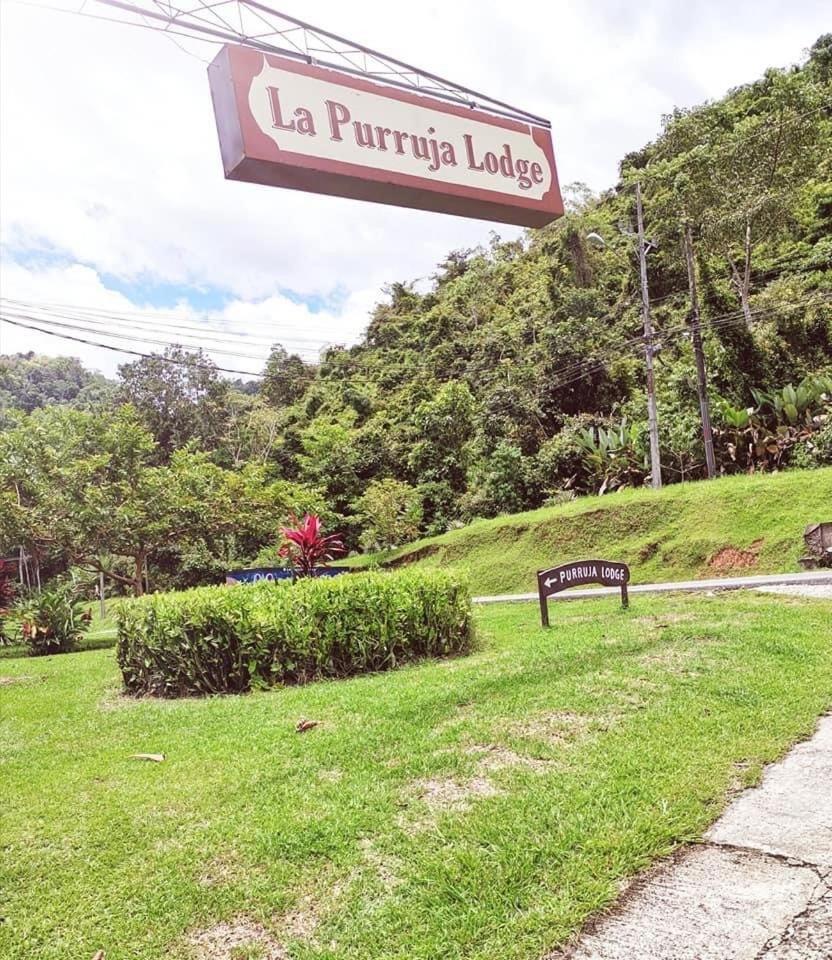 La Purruja Lodge Golfito Exteriör bild