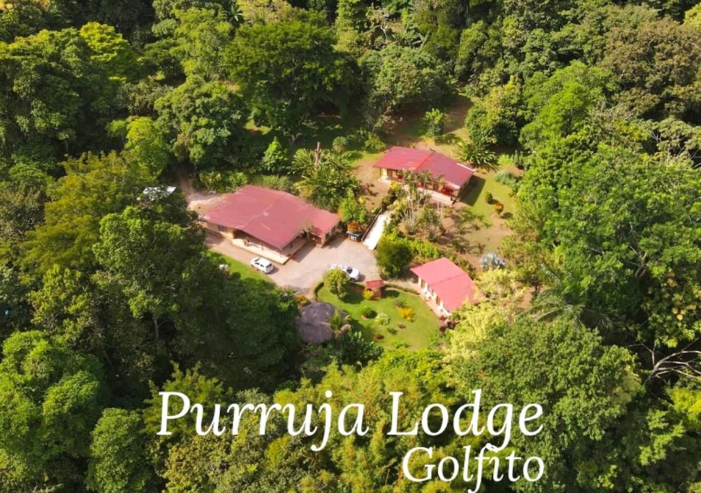 La Purruja Lodge Golfito Exteriör bild